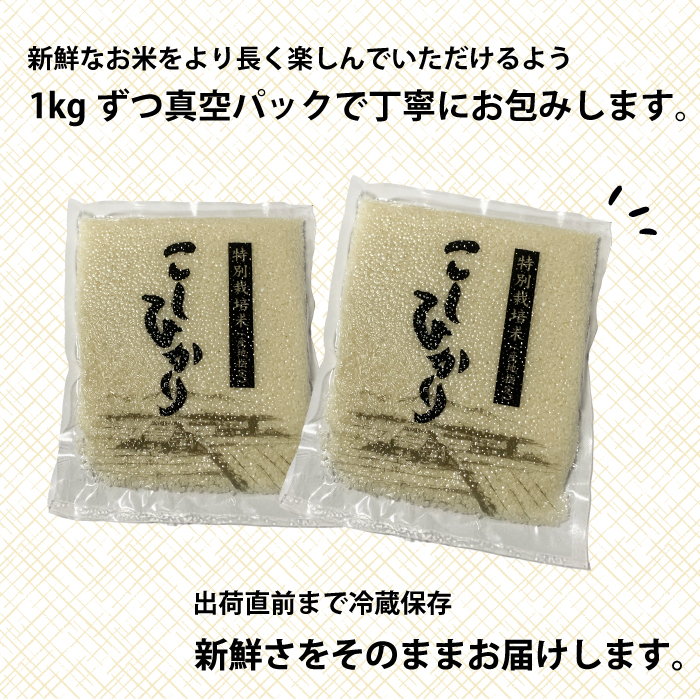 コシヒカリ精米5kg（1kg×5パック） おこめ  191002