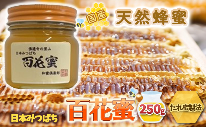 【 国産 天然蜂蜜 】 はちみつ 日本みつばち 百花蜜 250g たれ蜜製法 純粋ハチミツ