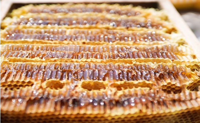 【 国産 天然蜂蜜 】 はちみつ 日本みつばち 百花蜜 200g たれ蜜製法 純粋ハチミツ