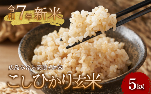 《令和7年新米》みはら高原米 浮城 ～ こしひかり ～ 玄米5kg お米 米 玄米 ごはん ご飯 広島県 三原市 220003