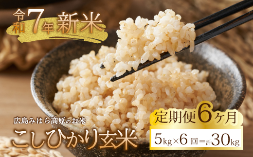 ■6か月定期便■ 令和7年新米 コシヒカリ 玄米5kg お米 米 ごはん ご飯 広島県 三原市 220010