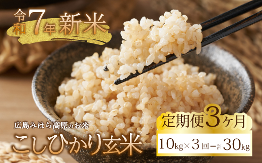 ■3か月定期便■ 令和7年新米 コシヒカリ 玄米10kg お米 米 ごはん ご飯 広島県 三原市 220011