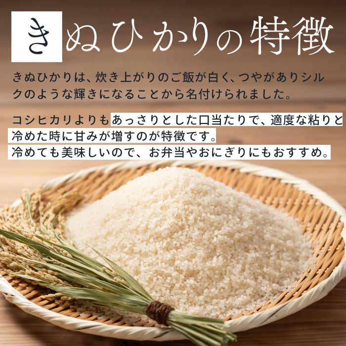 《令和7年新米》【6か月定期便】きぬひかり 玄米10kg  お米 米 精米 ごはん ご飯 広島県 三原市 220024