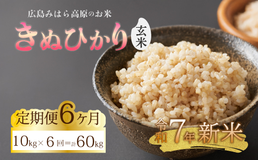 《令和7年新米》【6か月定期便】きぬひかり 玄米10kg  お米 米 精米 ごはん ご飯 広島県 三原市 220024