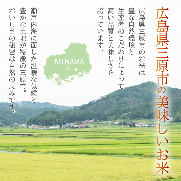 《令和7年新米》【6か月定期便】きぬひかり 玄米10kg  お米 米 精米 ごはん ご飯 広島県 三原市 220024