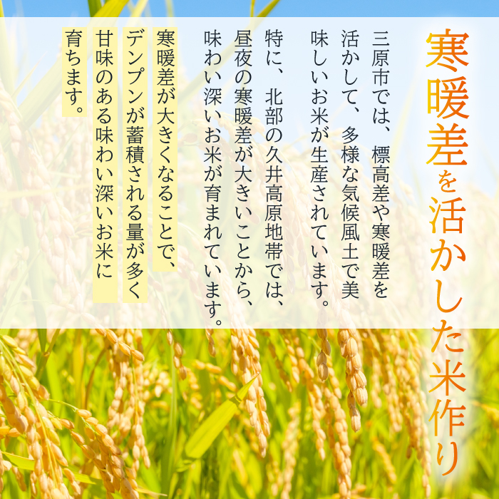 《令和7年新米》【6か月定期便】きぬひかり 玄米10kg  お米 米 精米 ごはん ご飯 広島県 三原市 220024