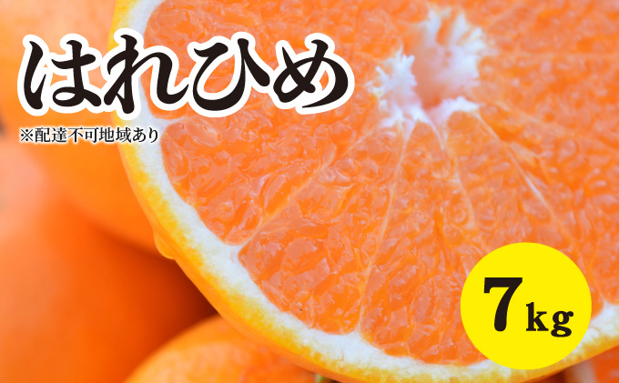 みかん 2024年1月以降発送 爽やかな香りと甘さに満足！ 新品種 はれ