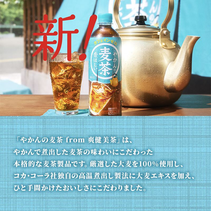 定期便 3ヶ月 やかん の 麦茶 from 爽健美茶 PET 650ml 24本 セット 広島 三原 コカ・コーラボトラーズ