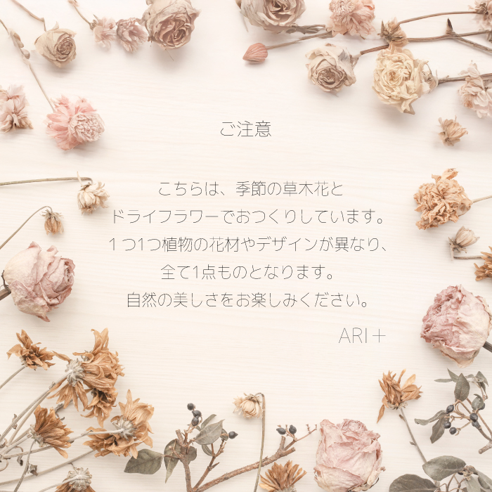 ãARIïŒããã©ã€ãã©ã¯ãŒãã¬ãŒã A ããã¥ã©ã« èªå®
ã€ã³ããªã¢ è± çœ®ç© ãç¥ã ã®ãã è£
食 226001