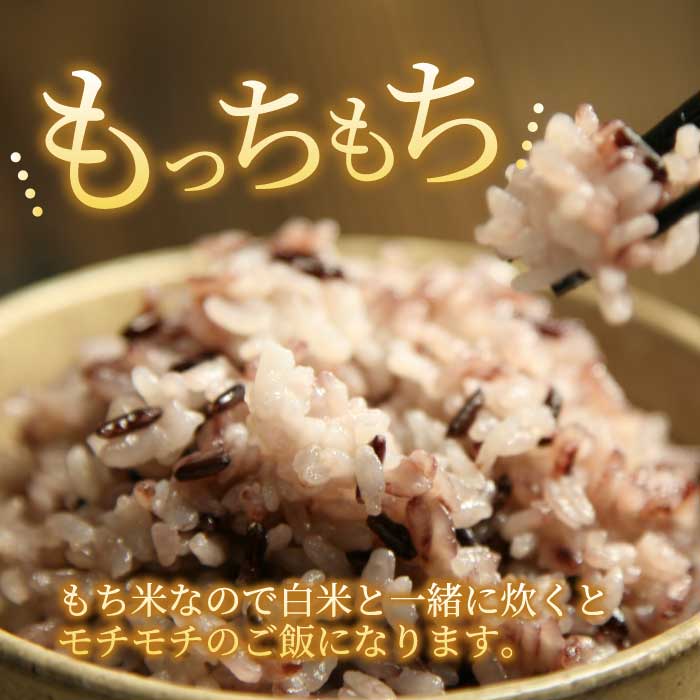 3か月定期便【安心！広島ブランド】広島県産 特別栽培 黒米 250g×１パック×3か月 国産 漆黒のサプリ 美容 健康 サプリメント 食物繊維 ミネラル ご飯 ごはん 227003
