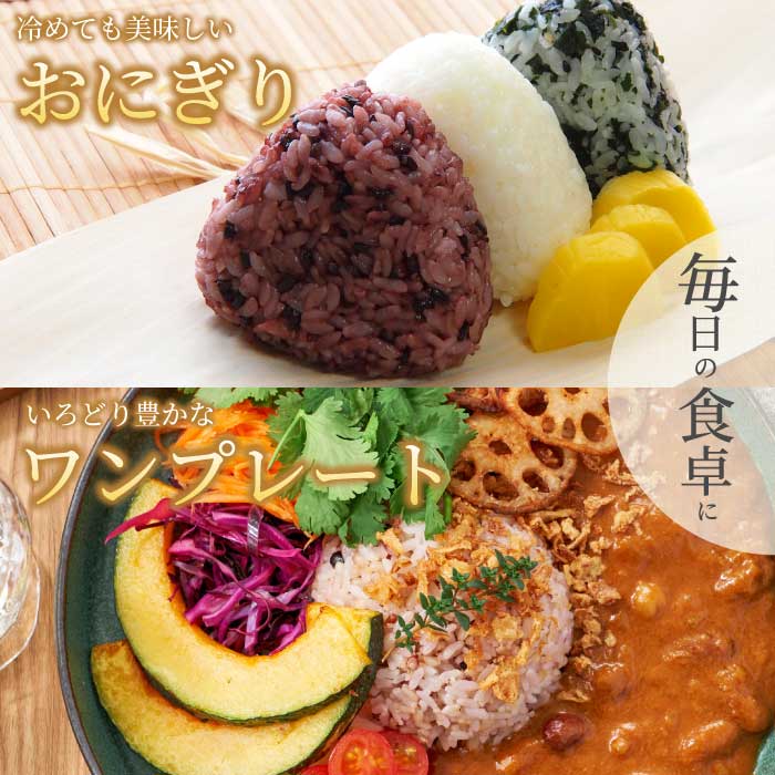 3か月定期便【安心！広島ブランド】広島県産 特別栽培 黒米 250g×１パック×3か月 国産 漆黒のサプリ 美容 健康 サプリメント 食物繊維 ミネラル ご飯 ごはん 227003
