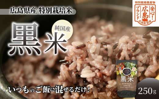 【安心！広島ブランド】広島県産 特別栽培 黒米 250g×１パック 国産 漆黒のサプリ 美容 健康 サプリメント 食物繊維 ミネラル ご飯 ごはん 227001