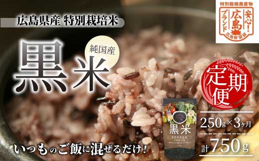 3か月定期便【安心！広島ブランド】広島県産 特別栽培 黒米 250g×１パック×3か月 国産 漆黒のサプリ 美容 健康 サプリメント 食物繊維 ミネラル ご飯 ごはん 227003