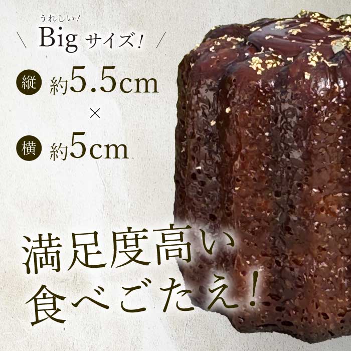 【Bistro gascogne】cannelé（カヌレ）ショコラ 4個 本場フランス スイーツ お菓子 洋菓子 焼き菓子 ご褒美 瀬戸内 229003