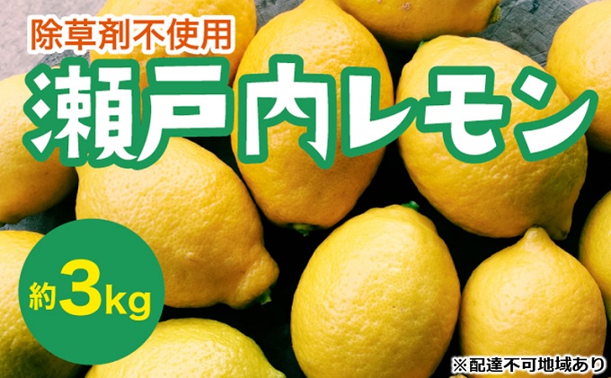 瀬戸内 れもん 約3kg  レモン 国産 佐木島 三原 広島 フルーツ 果物 柑橘 柑橘類 檸檬