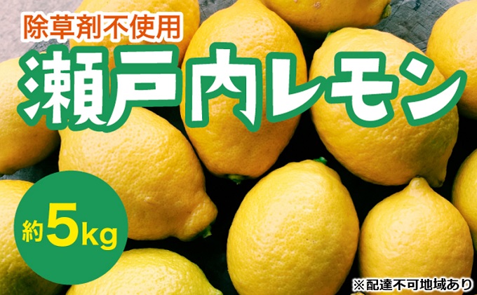瀬戸内 れもん 約5kg  レモン 国産 佐木島 三原 広島 フルーツ 果物 柑橘 柑橘類 檸檬