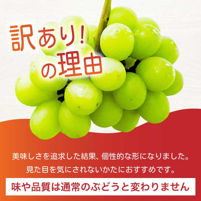 ã2026幎å€é çºéã»å
è¡åä»ããã²ã®ããã¡ãŒã ã©ã³ãã èš³ãã ã¶ã¶ã·ã£ã€ã³ãã¹ã«ãã 1kg ã¶ã©ã ãã¹ã«ãã æç© ãã«ãŒã 233001