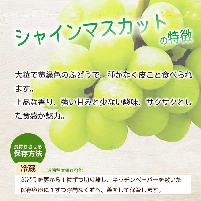 ã2026幎å€é çºéã»å
è¡åä»ããã²ã®ããã¡ãŒã ã©ã³ãã èš³ãã ã¶ã¶ã·ã£ã€ã³ãã¹ã«ãã 1kg ã¶ã©ã ãã¹ã«ãã æç© ãã«ãŒã 233001