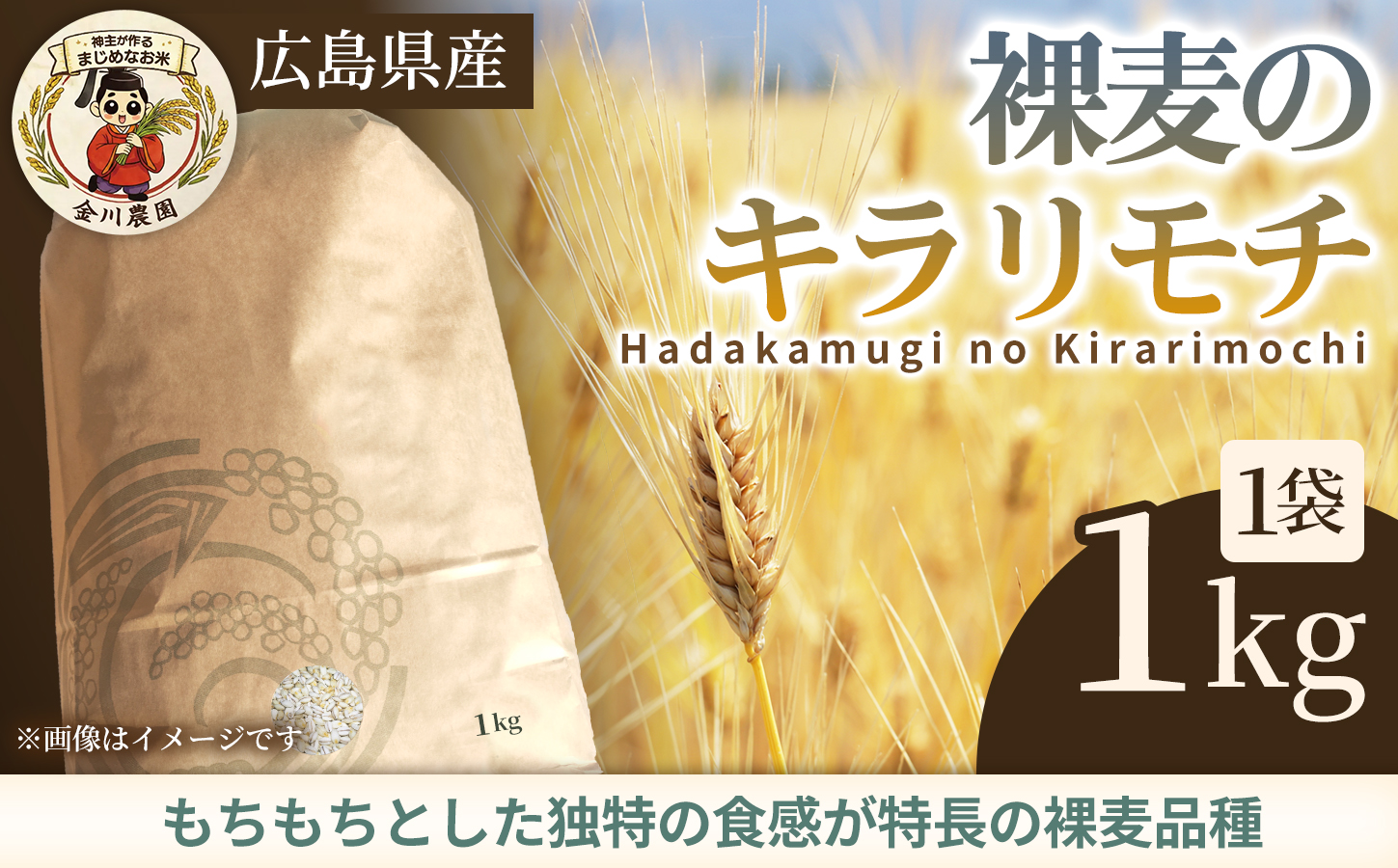 【先行受付】裸麦のキラリモチ 1kg 2026年7月以降発送予定 大麦 麦 麦ごはん ご飯 米 コメ お米 雑穀 健康 腸活 238016