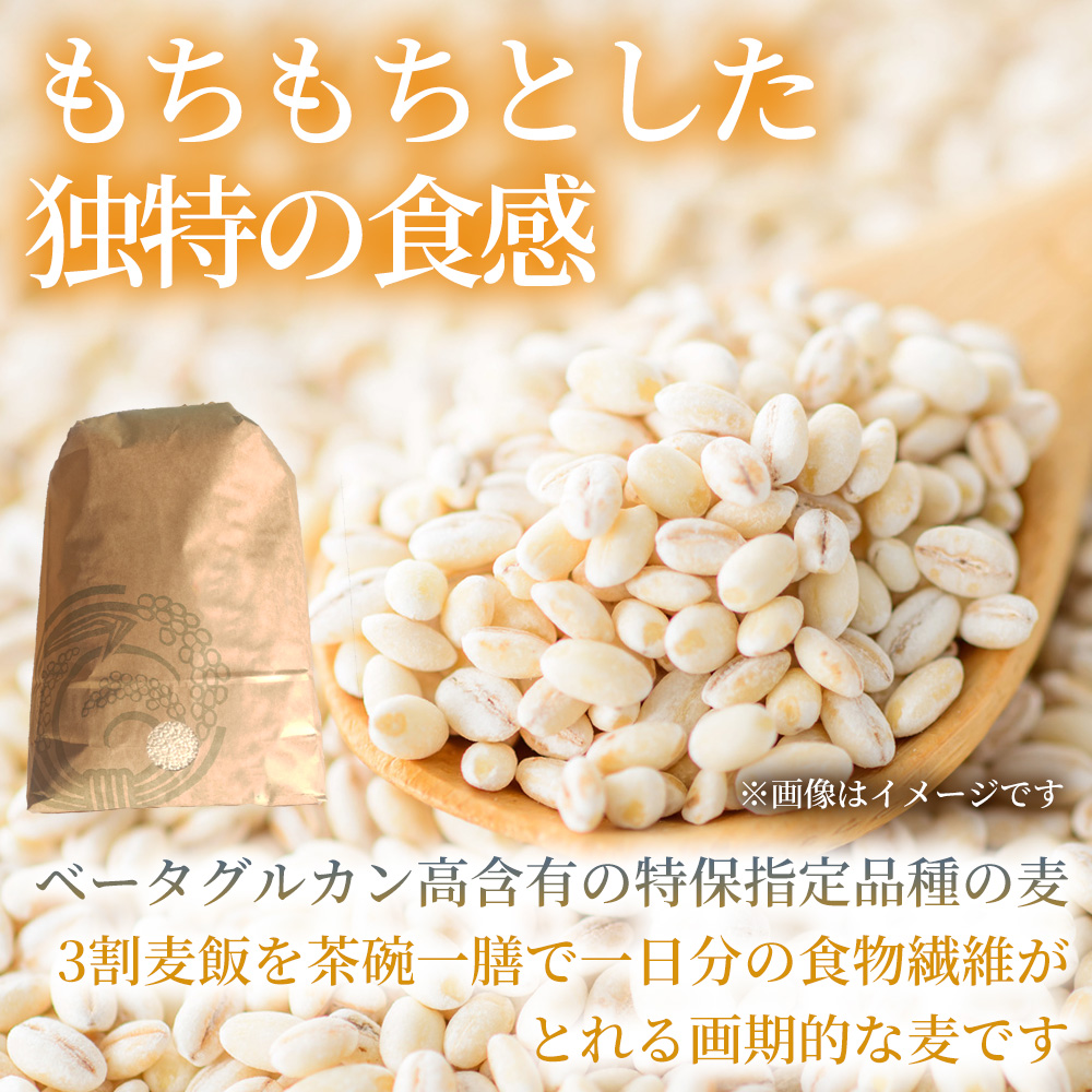 【先行受付】裸麦のキラリモチ 1kg 2026年7月以降発送予定 大麦 麦 麦ごはん ご飯 米 コメ お米 雑穀 健康 腸活 238016