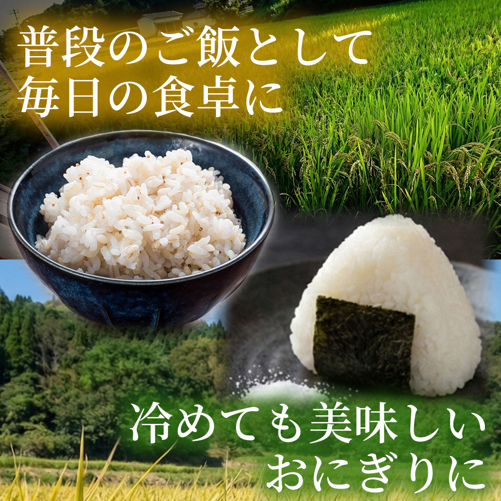 【先行受付】裸麦のキラリモチ 1kg 2026年7月以降発送予定 大麦 麦 麦ごはん ご飯 米 コメ お米 雑穀 健康 腸活 238016