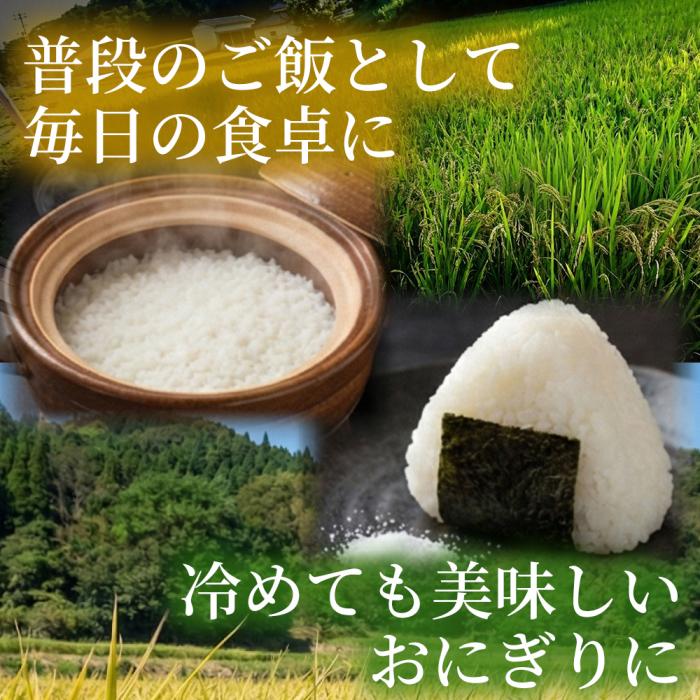 LGCãœãã äœã°ã«ããªã³ç±³ 5kg ç±³ ãç±³ ã³ã¡ ã飯 ãã¯ã çœç±³ äœããã±ã ã¿ã³ãã¯è³ª å¥åº· 238001