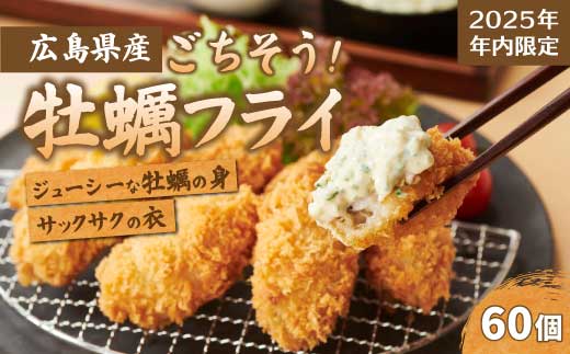 【不漁に負けるな！12月限定】【タカノブ食品】広島県産かき使用！ご馳走かきフライ 2箱 カキフライ 牡蠣 小分け 冷凍 おかず 惣菜 揚げ物 簡単調理 022002