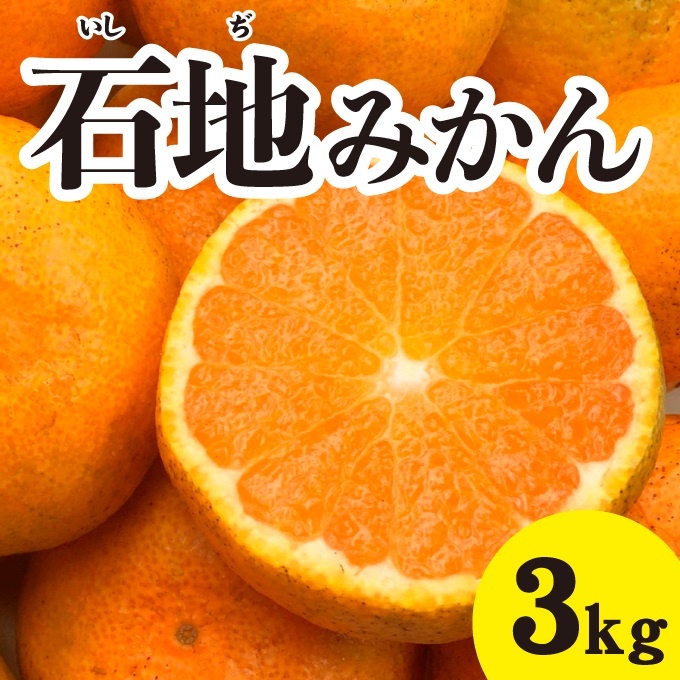 みかん 柑橘 【先行予約】 【2024年12月以降発送】糖度が高く濃厚！ 石地みかん ＜約3kg＞ 広島 三原 佐木島 鷺島みかんじま みかん 017041