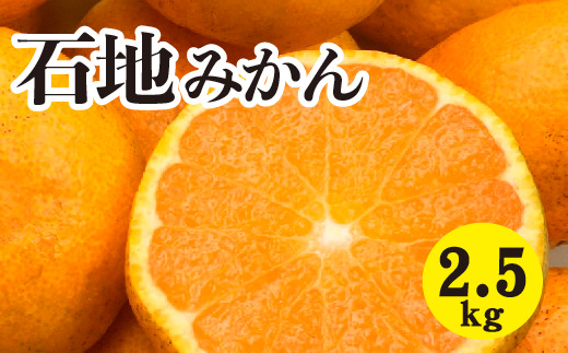 みかん 柑橘【先行受付】【2025年12月以降発送】糖度が高く濃厚！ 石地みかん ＜約2.5kg＞ 広島 三原 佐木島 鷺島みかんじま 017041
