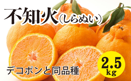 みかん 柑橘【先行受付】【2026年3月以降発送】甘さ抜群しらぬい！デコちゃん【デコポンと同品種】＜約2.5kg＞ 広島 三原 佐木島 鷺島みかんじま 017044