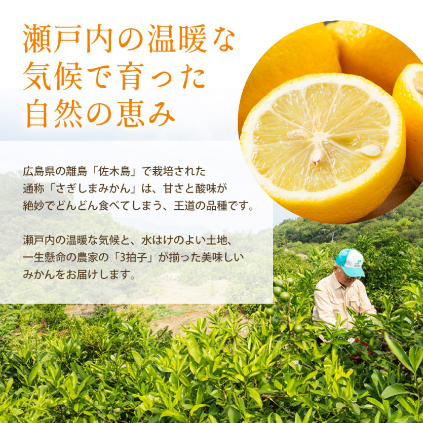 瀬戸内 れもん 約2kg  【先行予約】 【2024年11月以降発送】レモン 国産 佐木島 三原 広島 フルーツ 果物 柑橘 柑橘類 檸檬 017046