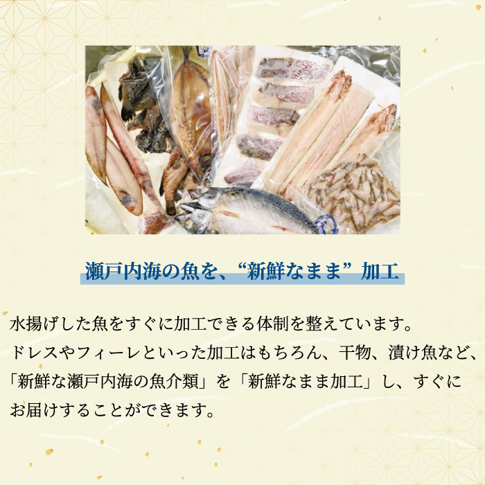 ç¬æžå
æµ·ã®è±ªè¯ãªæµã¿ïŒäžå€å¹²ãã»æŒ¬ãéããŸããã»ããïŒïŒïœïŒããã¯ïŒ é èŽ ãã€ãŸã¿ æµ·é®® å¹²ç© è»ãšã 西京挬ã åºå³¶ã¬ã¢ã³ãµãŒã¢ã³ ç²æŒ¬ã é¯ ã¿ã€ ã㢠ã«ãã¹ ã·ãº é±§ ããŸã ã¿ã挬ã å³å挬ã ã®ãã è©°ãåãã ãã¬ãŒã³ã ã®ãã ç¬æžå
ã©ã³ãã é£ã¹ããã¹ ãåãå¯ã 056001