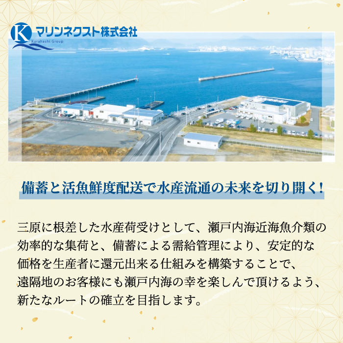 ç¬æžå
æµ·ã®è±ªè¯ãªæµã¿ïŒäžå€å¹²ãã»æŒ¬ãéããŸããã»ããïŒïŒïœïŒããã¯ïŒ é èŽ ãã€ãŸã¿ æµ·é®® å¹²ç© è»ãšã 西京挬ã åºå³¶ã¬ã¢ã³ãµãŒã¢ã³ ç²æŒ¬ã é¯ ã¿ã€ ã㢠ã«ãã¹ ã·ãº é±§ ããŸã ã¿ã挬ã å³å挬ã ã®ãã è©°ãåãã ãã¬ãŒã³ã ã®ãã ç¬æžå
ã©ã³ãã é£ã¹ããã¹ ãåãå¯ã 056001