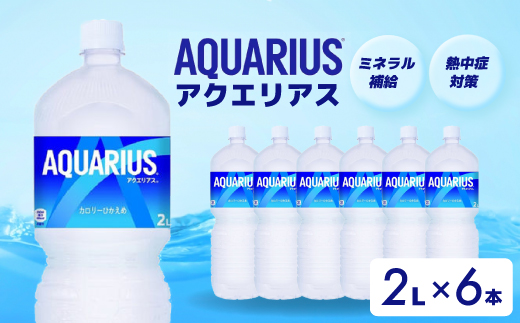 アクエリアス PET 2L×6本  スポーツドリンク スポーツ飲料 清涼飲料水 水分補給 ペットボトル 箱買い まとめ買い 備蓄 災害用 014043