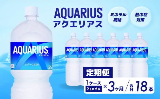 【3か月定期便】アクエリアス PET 2L×6本 スポーツドリンク スポーツ飲料 清涼飲料水 水分補給 ペットボトル 箱買い まとめ買い 備蓄 災害用 014044