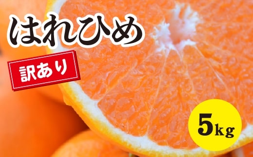 みかん【先行受付】【2027年1月以降発送】 爽やかな香りと甘さに満足！ 新品種 訳ありはれひめ ＜約5kg＞ 広島 三原 佐木島 鷺島みかんじま 017066
