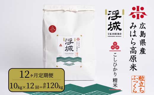 《令和7年》【12か月定期便】みはら高原米 浮城 ～ こしひかり ～ 白米 10kg コシヒカリ お米 米 精米 ごはん ご飯 広島県 三原市 220060
