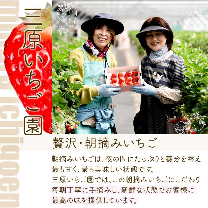 【年3回定期便】瀬戸内の恵みがいっぱい！人気の厳選フルーツ定期便 いちご  桃 ぶどう シャインマスカット 広島県三原市 イチゴ もも ブドウ T07