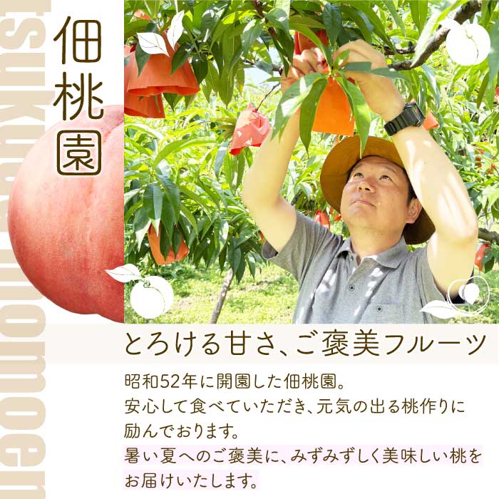 【年3回定期便】瀬戸内の恵みがいっぱい！人気の厳選フルーツ定期便 いちご  桃 ぶどう シャインマスカット 広島県三原市 イチゴ もも ブドウ T07