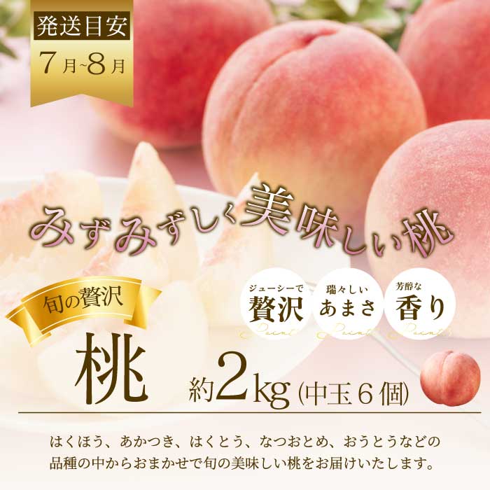 【年3回定期便】瀬戸内の恵みがいっぱい！人気の厳選フルーツ定期便 いちご  桃 ぶどう シャインマスカット 広島県三原市 イチゴ もも ブドウ T07