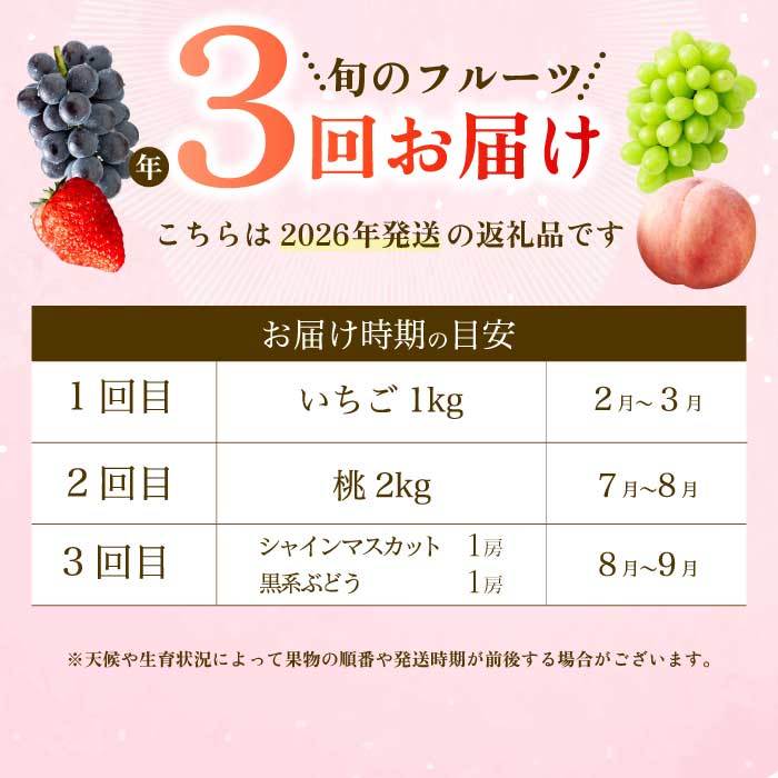 【年3回定期便】瀬戸内の恵みがいっぱい！人気の厳選フルーツ定期便 いちご  桃 ぶどう シャインマスカット 広島県三原市 イチゴ もも ブドウ T07