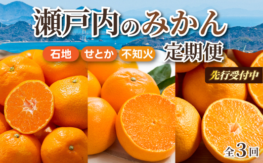 【数量限定☆先行受付】柑橘食べ比べ定期便（3種）石地みかん・せとか 各2.5kg 不知火 2kg  フルーツ 果物 みかん しらぬい オレンジ デコポン 産地直送 ジューシー 人気 濃厚 T09
