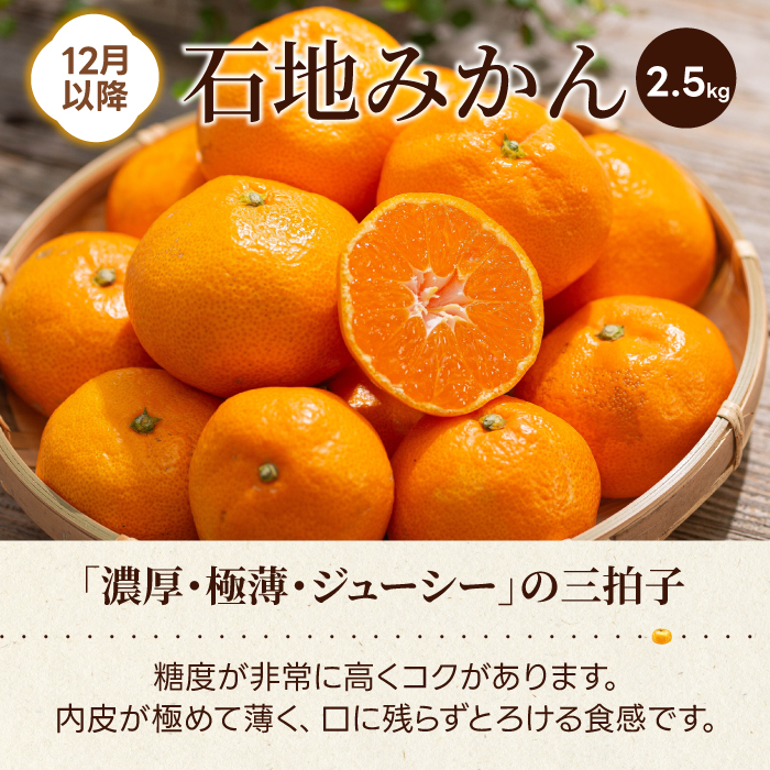 【数量限定☆先行受付】柑橘食べ比べ定期便（3種）石地みかん・せとか 各2.5kg 不知火 2kg  フルーツ 果物 みかん しらぬい オレンジ デコポン 産地直送 ジューシー 人気 濃厚 T09
