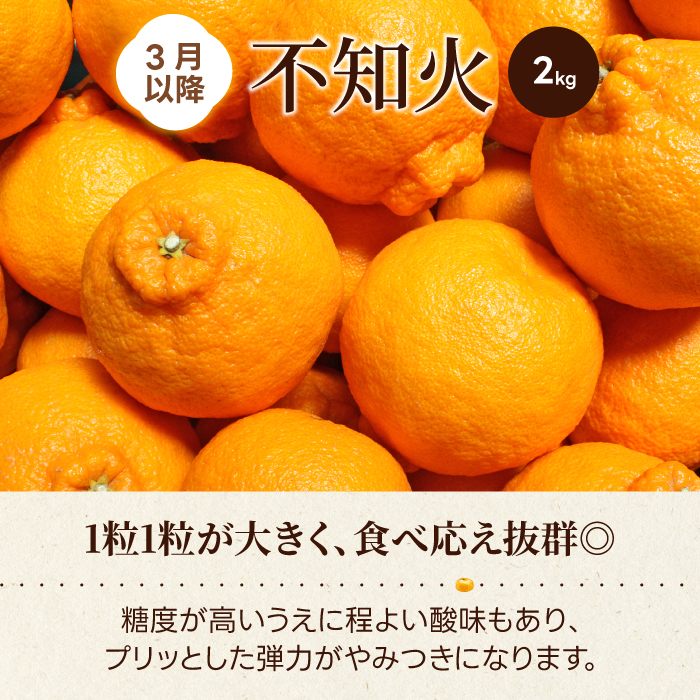 【数量限定☆先行受付】柑橘食べ比べ定期便 せとか 2.5kg・不知火 2kg フルーツ 果物 みかん オレンジ デコポン しらぬい 産地直送 ジューシー 人気 濃厚 T11
