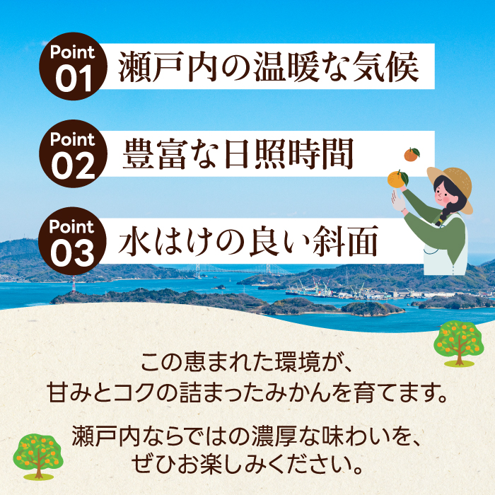 【数量限定☆先行受付】柑橘食べ比べ定期便 せとか 2.5kg・不知火 2kg フルーツ 果物 みかん オレンジ デコポン しらぬい 産地直送 ジューシー 人気 濃厚 T11