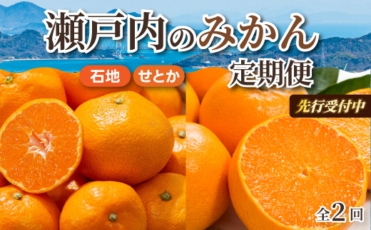 【数量限定☆先行受付】柑橘食べ比べ定期便（石地みかん・せとか） 各2.5kg フルーツ 果物 みかん オレンジ 産地直送 ジューシー 人気 濃厚 T10