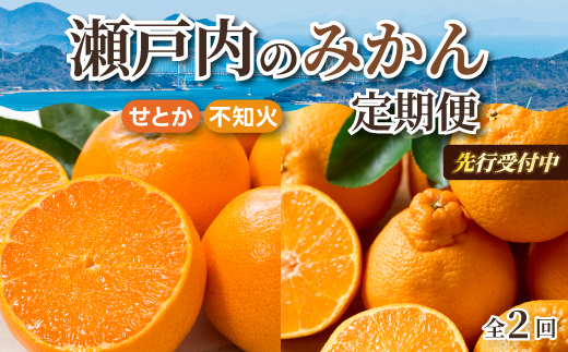 【数量限定☆先行受付】柑橘食べ比べ定期便 せとか 2.5kg・不知火 2kg フルーツ 果物 みかん オレンジ デコポン しらぬい 産地直送 ジューシー 人気 濃厚 T11