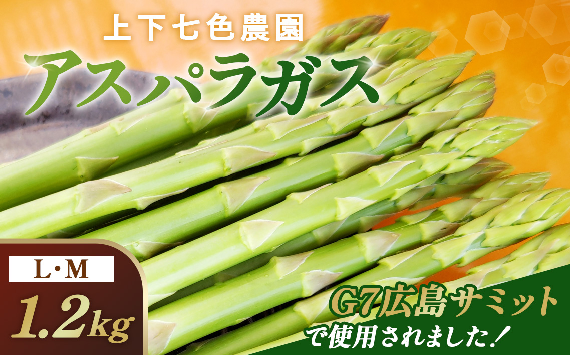 上下七色農園 アスパラガス　L・Ｍサイズ　ダンボール（1.2kg） No.1096