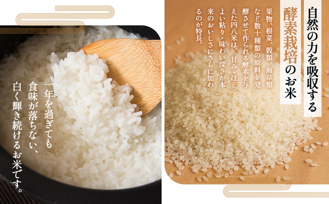 縲仙屁蜈ォ邀ウ縲鷹オ邏繝励Ξ繝溘い繝縲3kg No.287