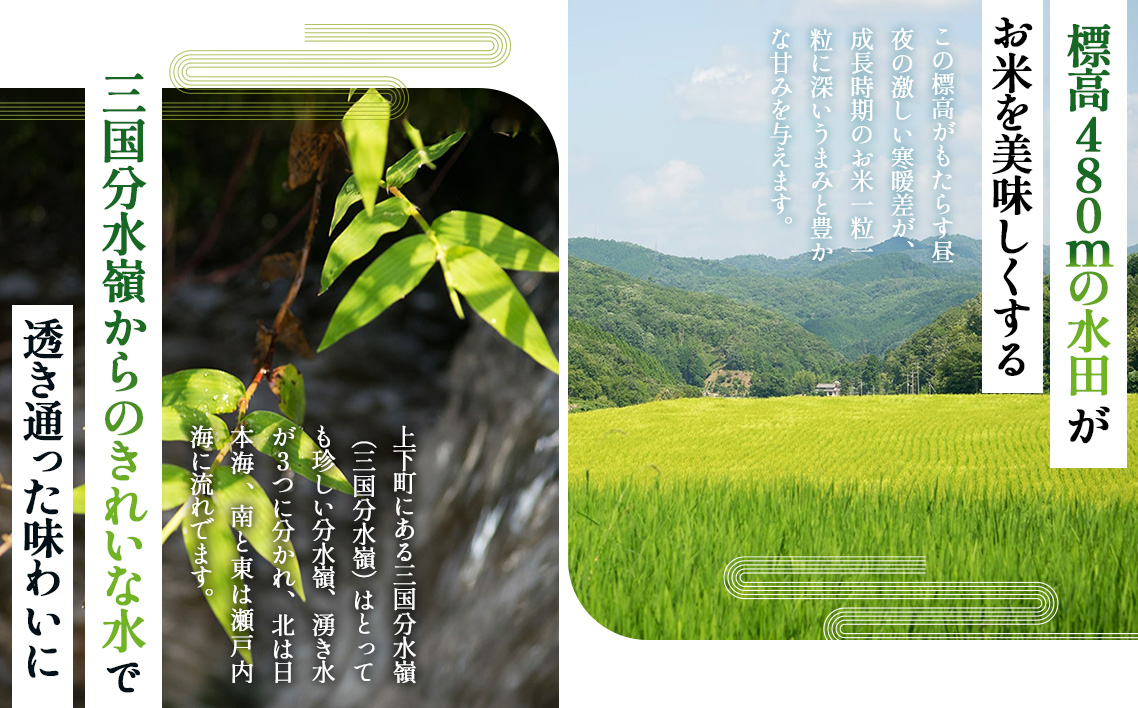 【四八米】酵素プレミアム　5kg No.288